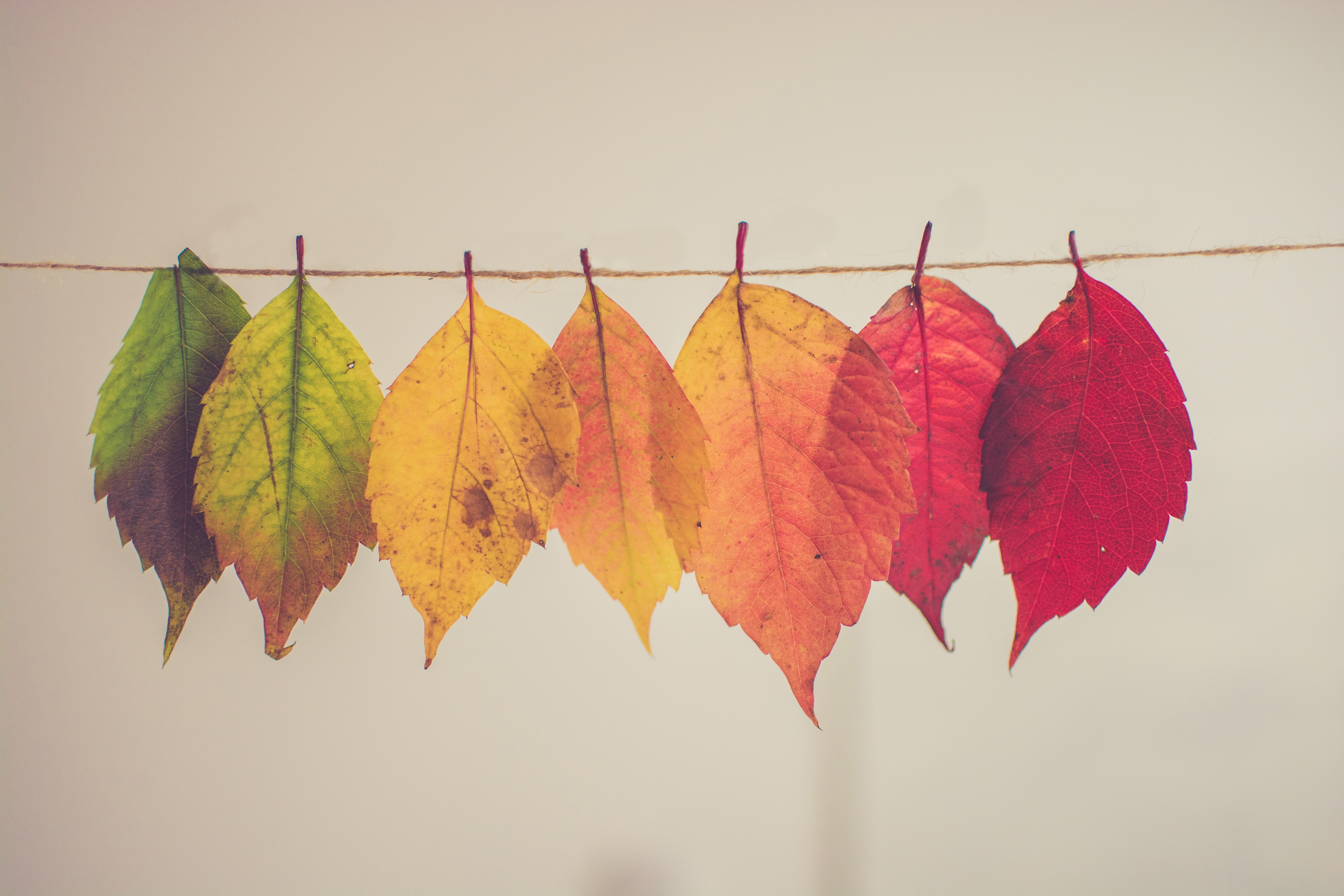 Navigating Change: How Interim IT Management Can Keep Your Operations on Track